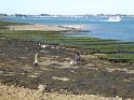 2015-09-29 12-01-10 Circuit Moulin Pen Castel - Port Navalo YLe
